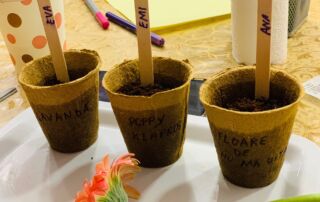 atelier copii 4 - 6 ani Bucuresti